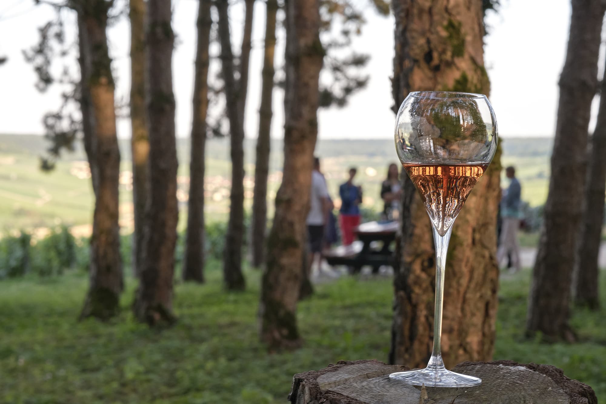 coupe de champagne dans la nature - Epernay Tourisme