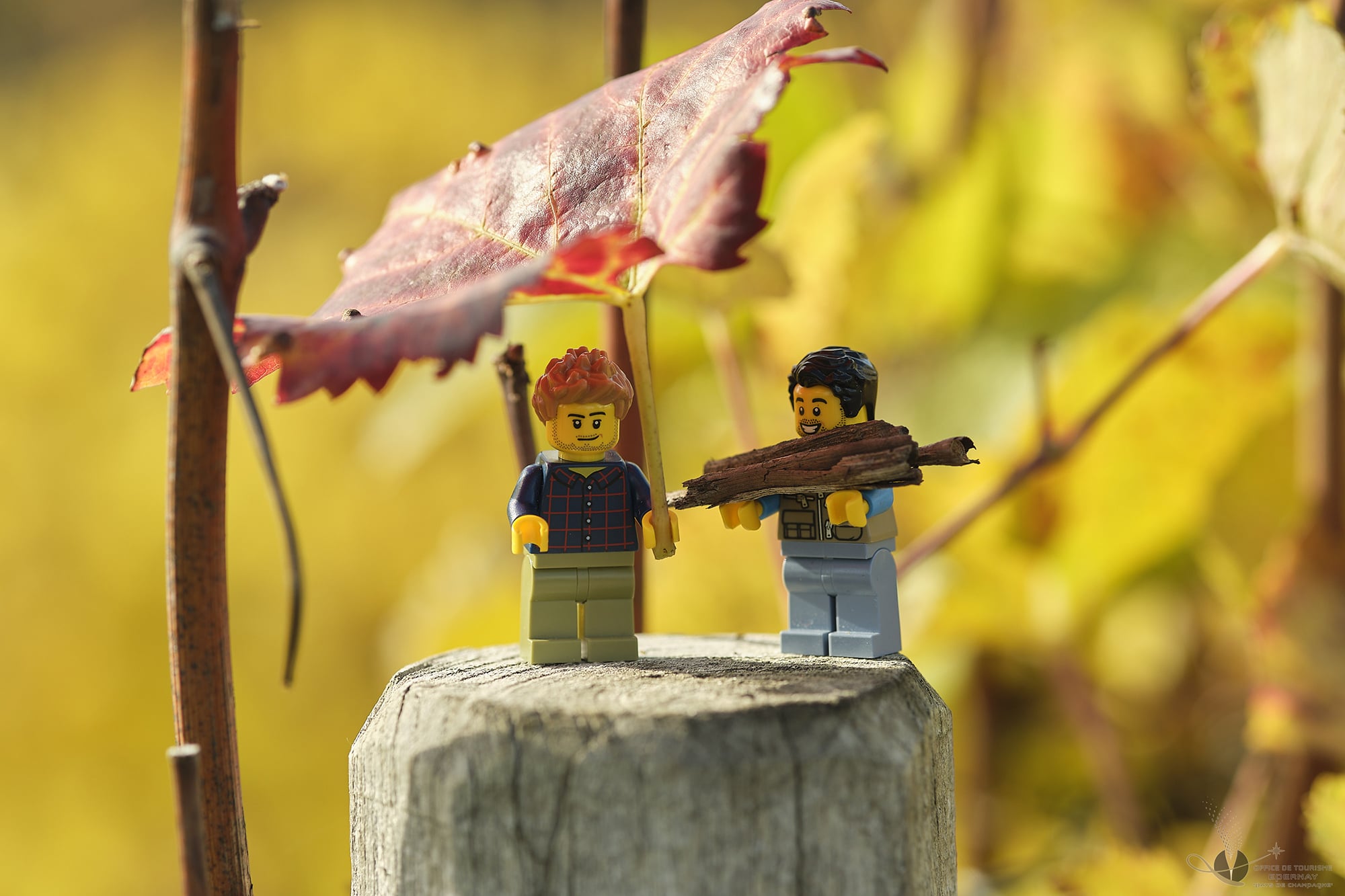 Playmobiles dans les vignes