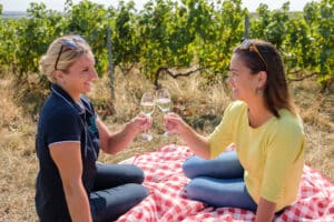 pique nique dans les vignes
