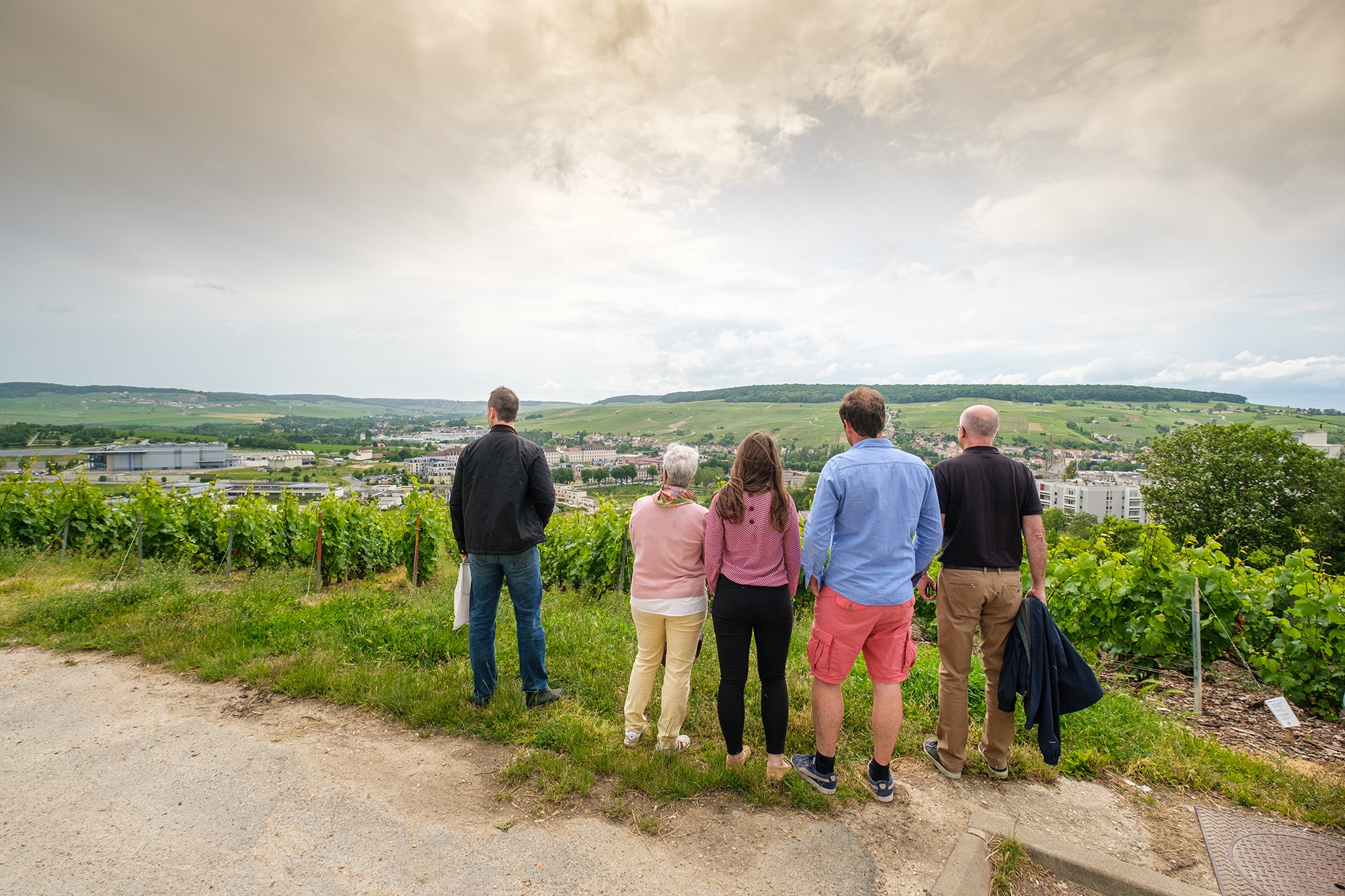 groupe de personnes vue sur vignoble