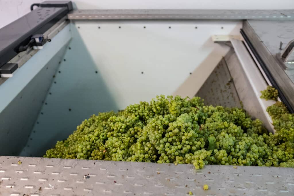 pressoir champenois - Epernay Tourisme