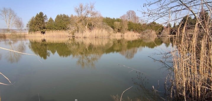 Vue sur l'Etang de Voipreux - Epernay tourisme