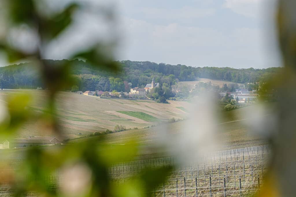 vue sur le vignoble et village champenois