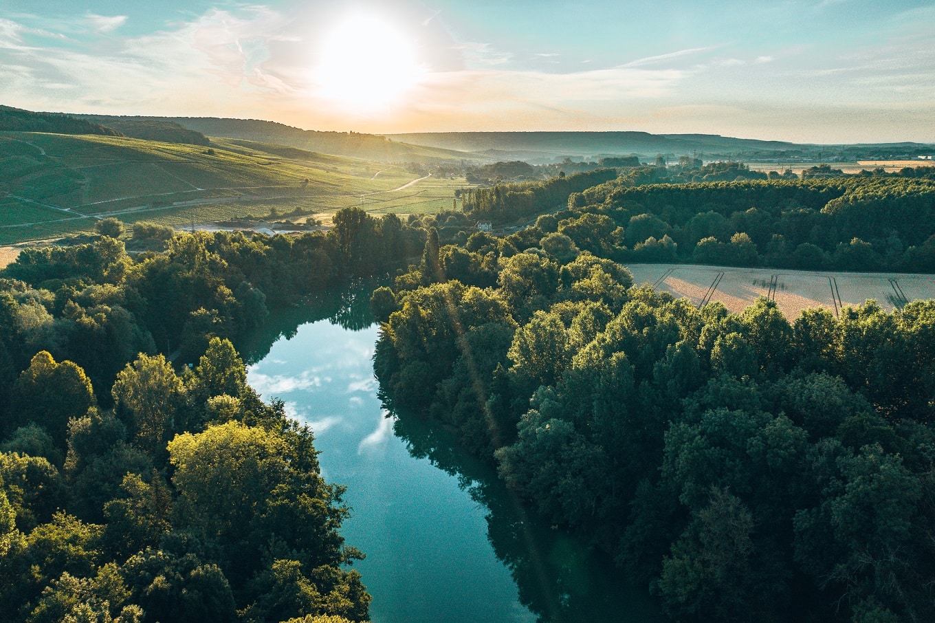 Paysage de la Champagne - Marne - Epernay Tourisme