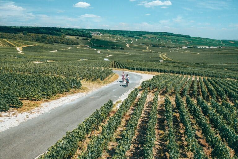 les droners dans le vignoble champenois à vélo