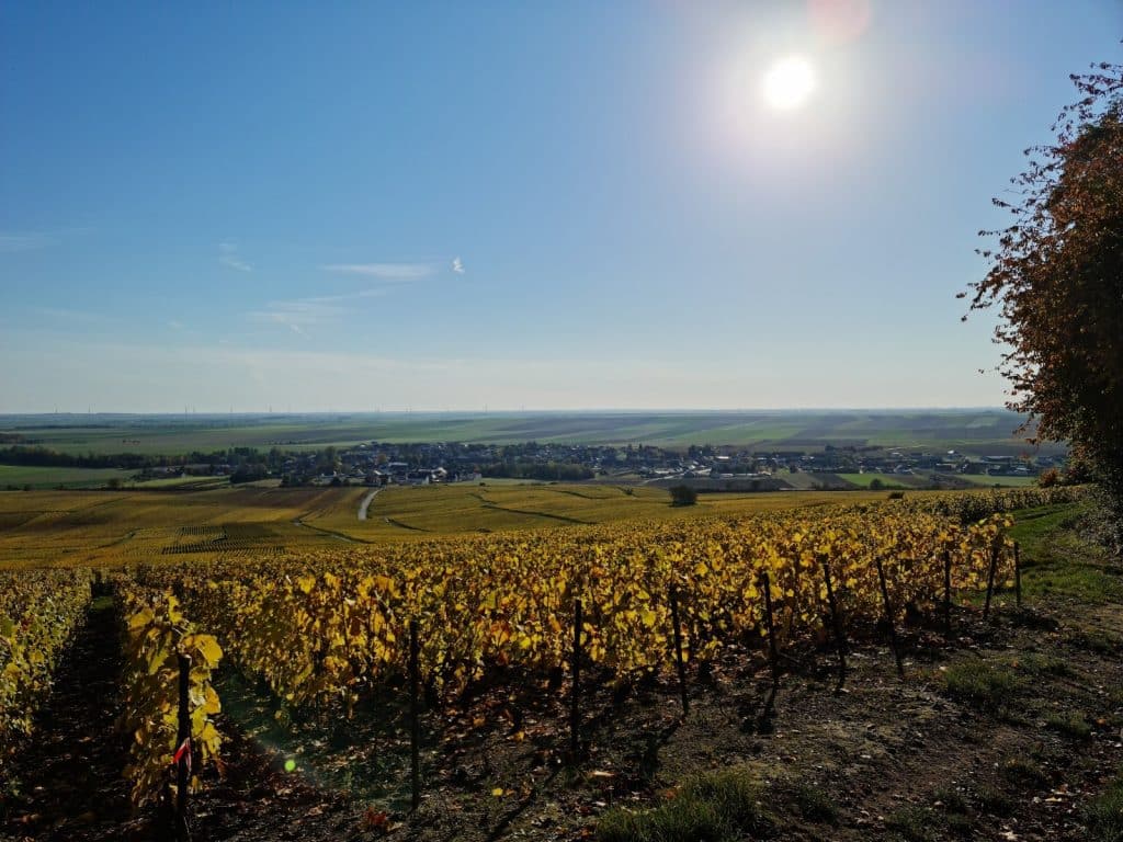 Vue sur le village d'Avize - Epernay tourisme
