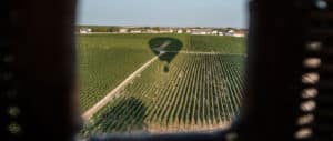 Vignobles vue du ciel - Air Tonic