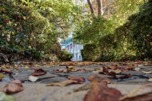 Epernay, ville éco- responsable