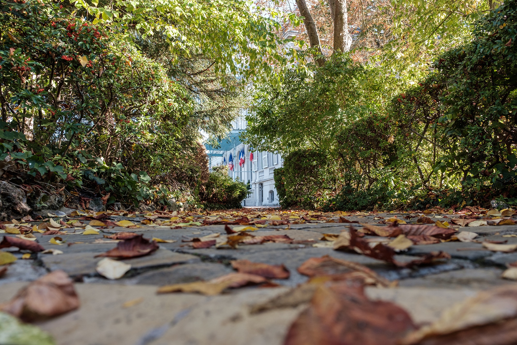 Epernay, ville éco- responsable