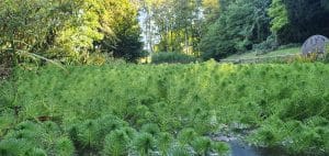 Nature en Champagne - Epernay Tourisme