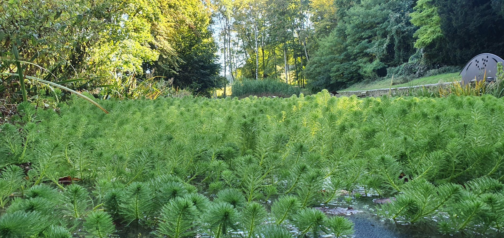 Nature en Champagne - Epernay Tourisme