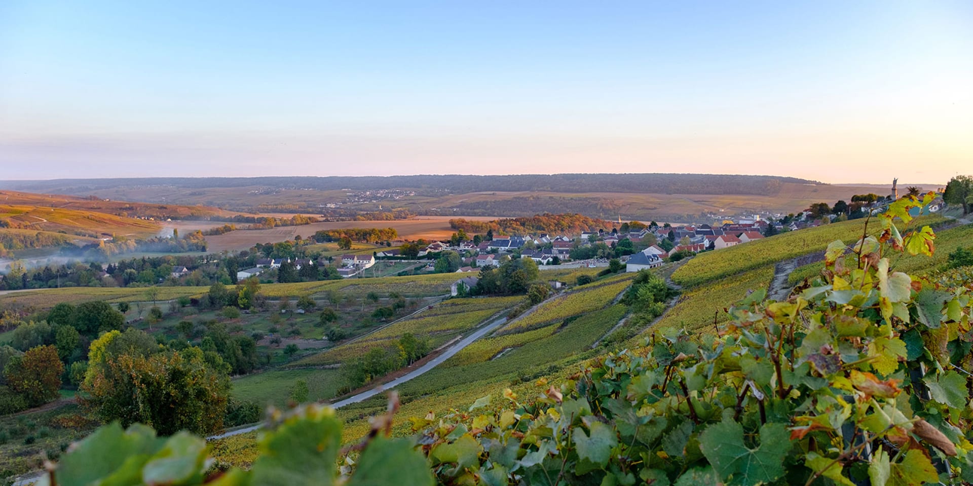 La Route du Champagne