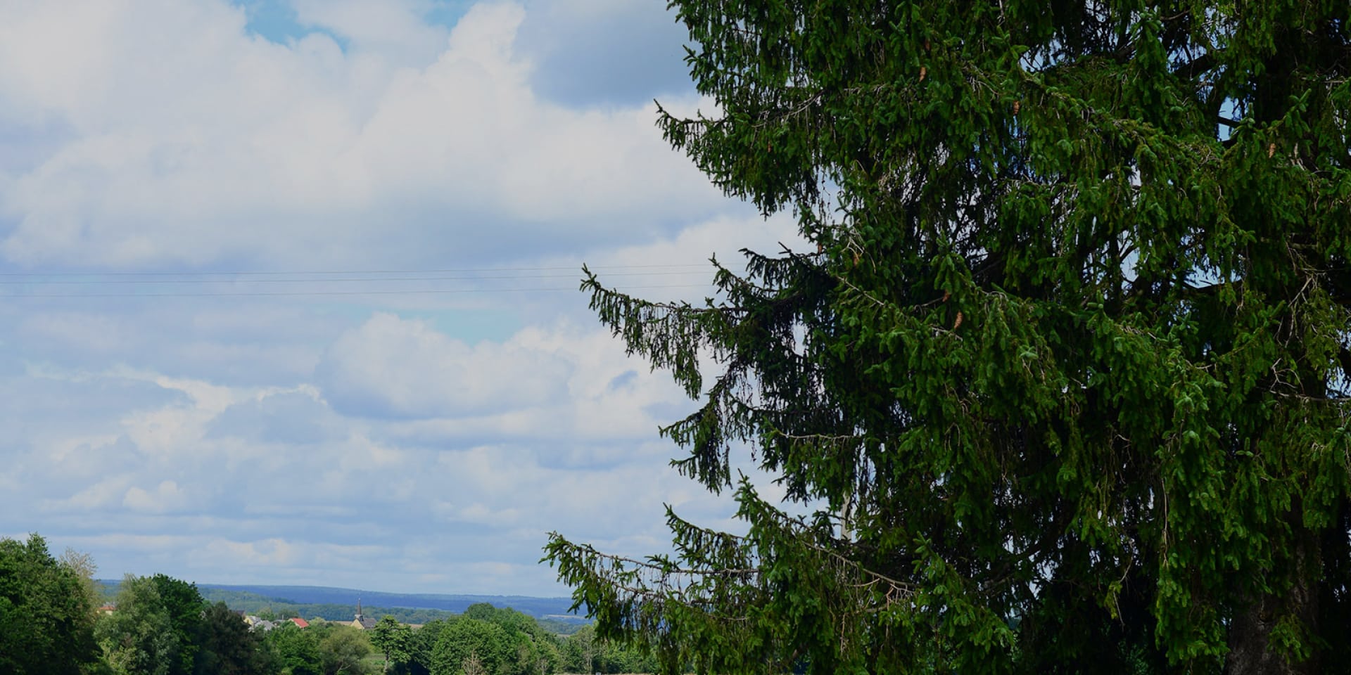 Voi verte transardennes