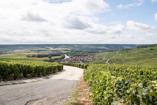 Après midi Epernay & producteurs vignerons Champagne depuis Reims