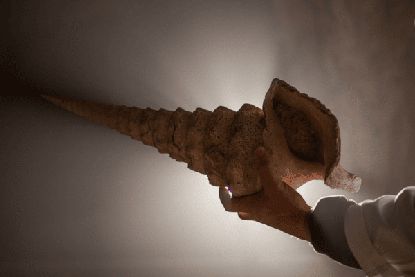 La cave aux coquillages offre régiondo