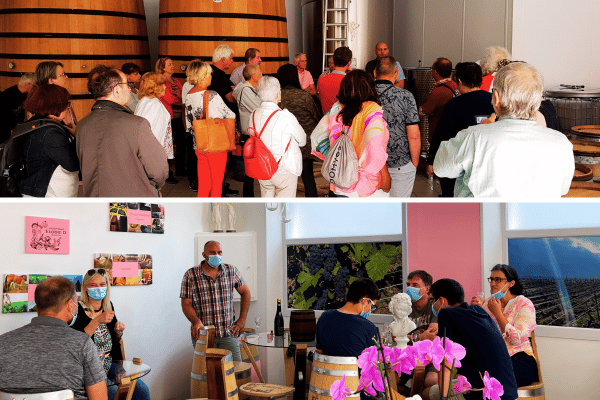 Champagne elodie d visite offre regiondo