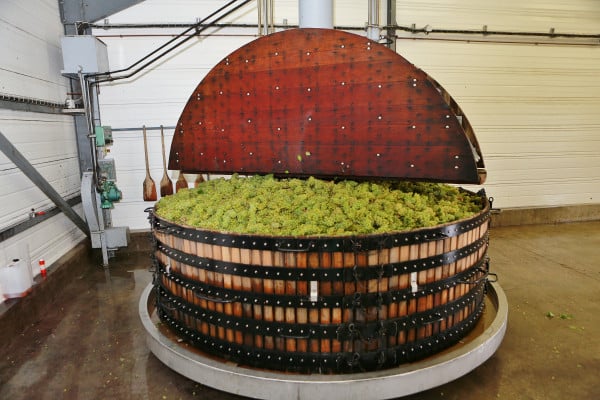 Champagne Guy de chassey visite offre regiondo