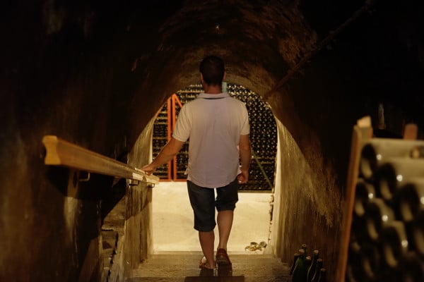 Visite immersion champagne alfred tritan offre regiondo