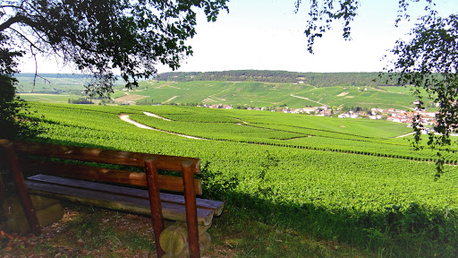 La Balade qui pétille à Grauves