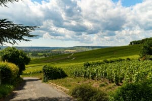 La_Marne_By_Les_Coflocs- ©Coflocs