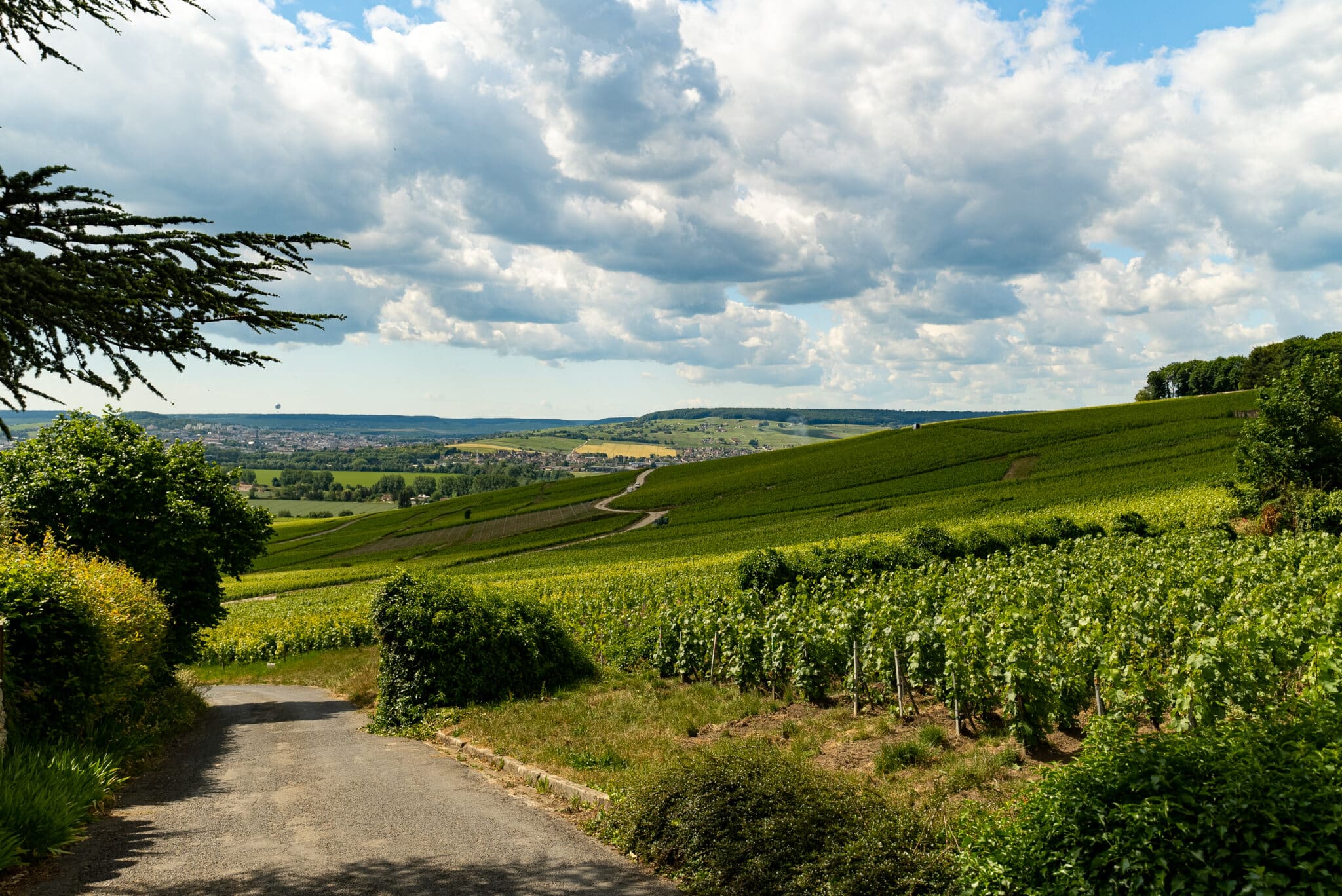 La_Marne_By_Les_Coflocs- ©Coflocs