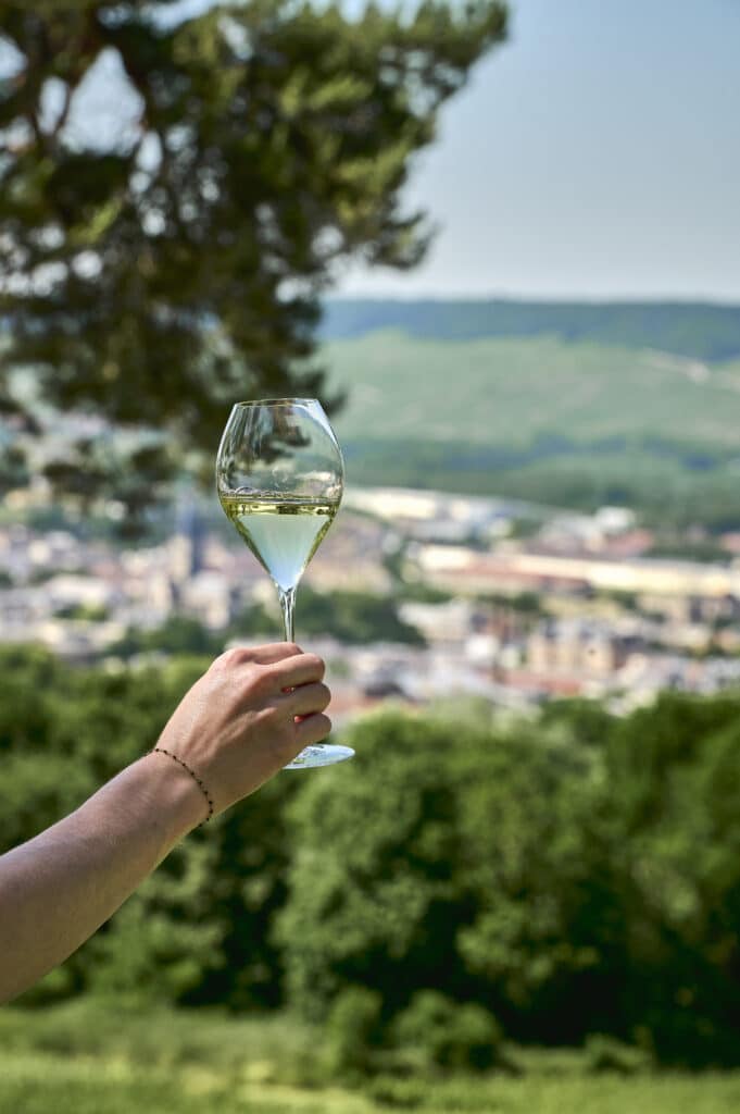 coupe de monde de rugby en champagne