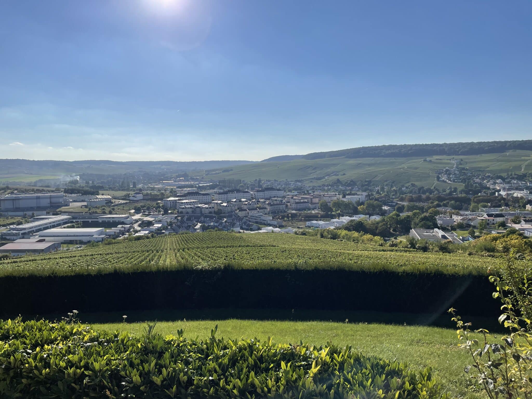 Oenotourisme en Champagne avec vue exceptionnelle au champagne Nicolas Moreau