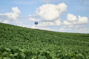 Le vignoble autour d’Epernay en immersion