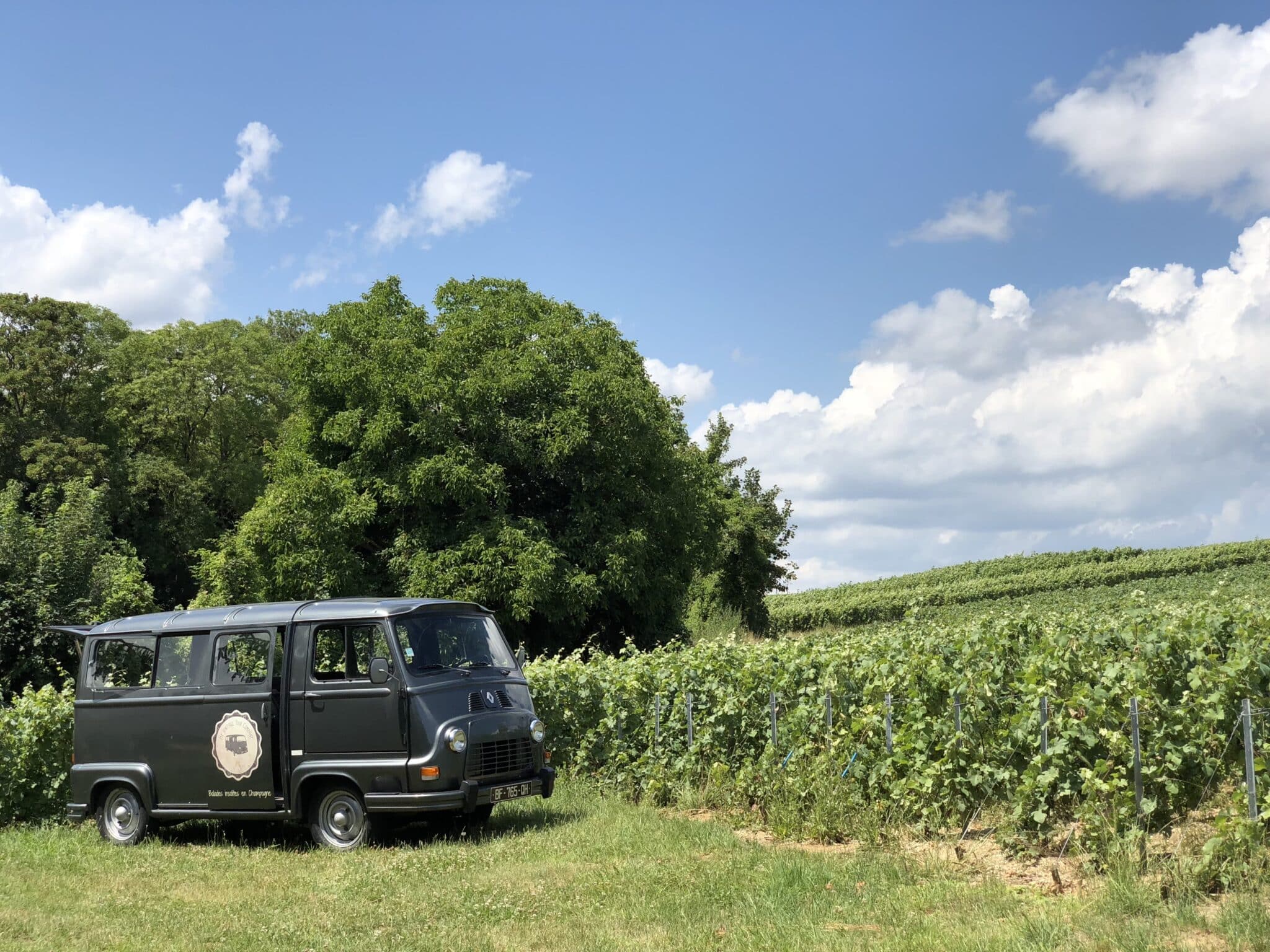 My Vintage Tour Company