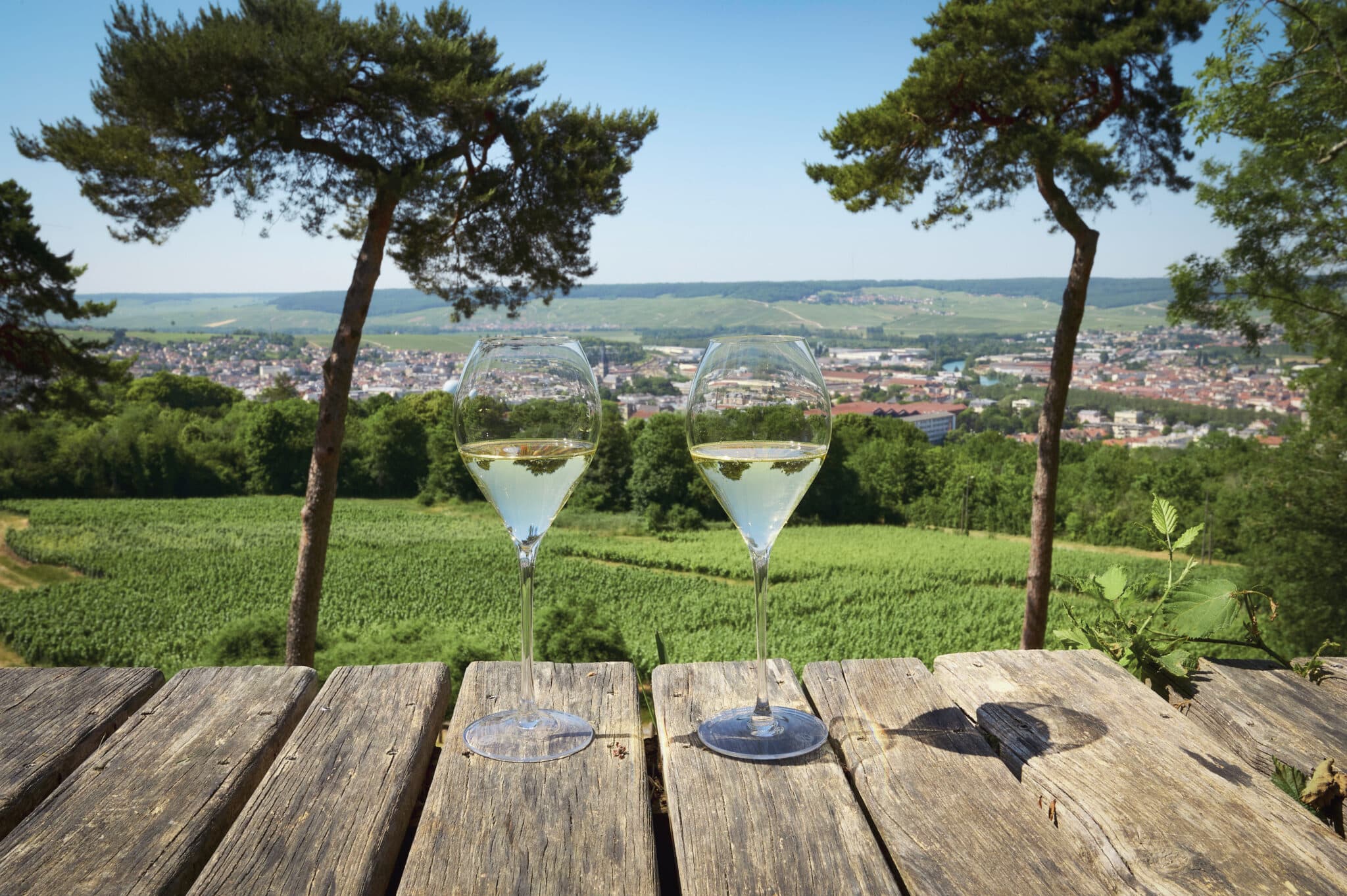 why visit the Champagne ?